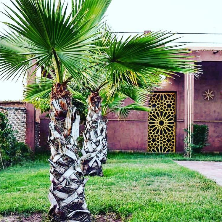 Riad Darga Rouge Ouled Bouzid エクステリア 写真